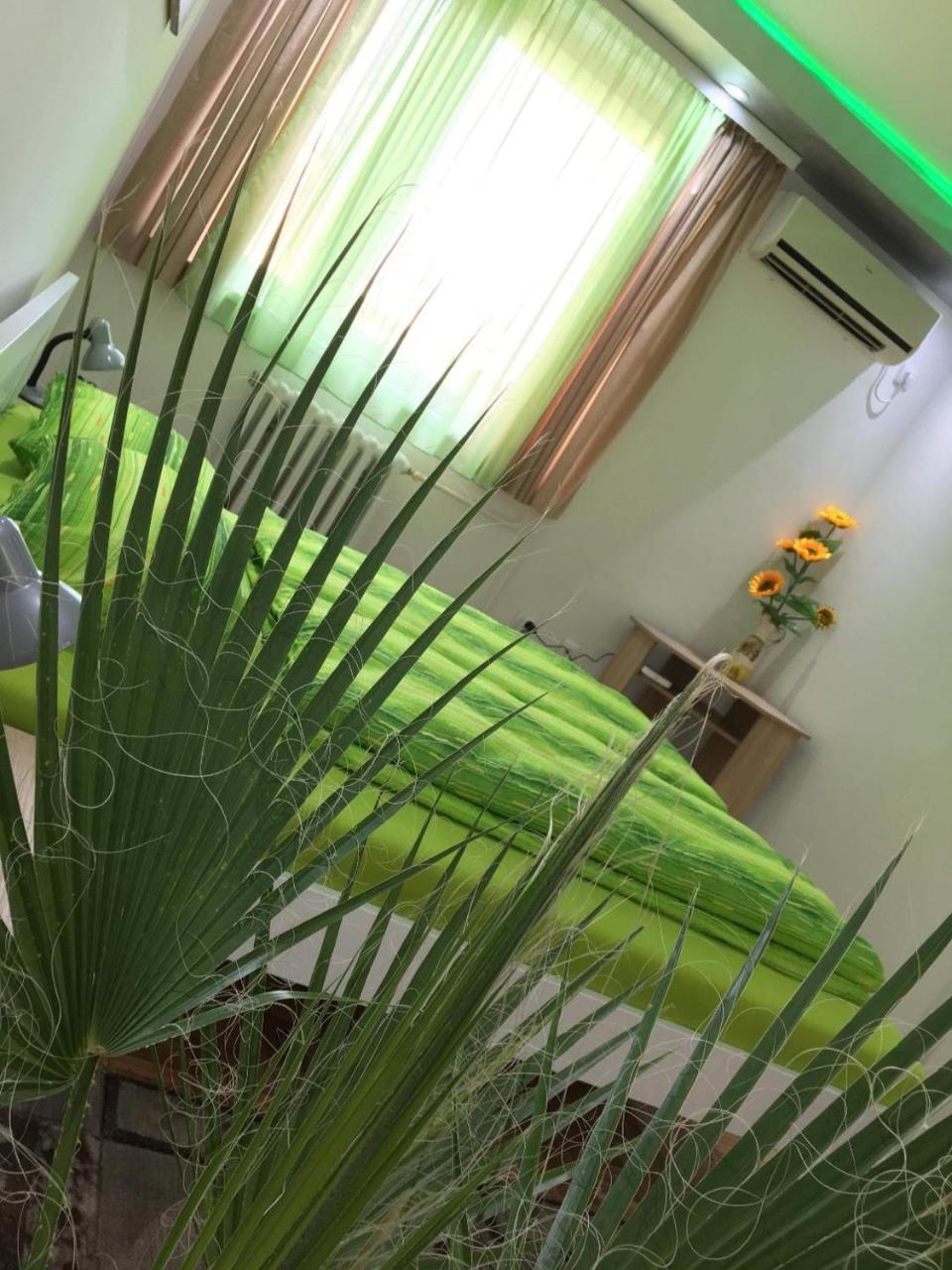 Green Dreams Novi Sad Dış mekan fotoğraf