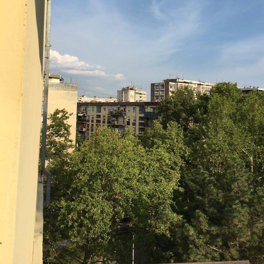 Green Dreams Novi Sad Dış mekan fotoğraf